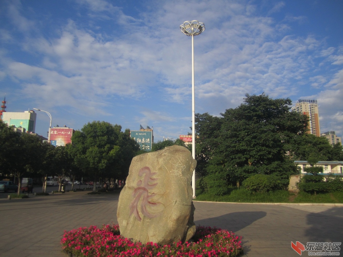 IMG_4620.JPG
