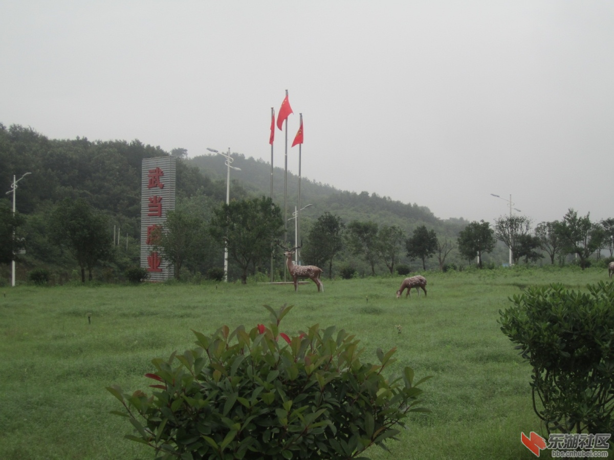 IMG_4868.JPG