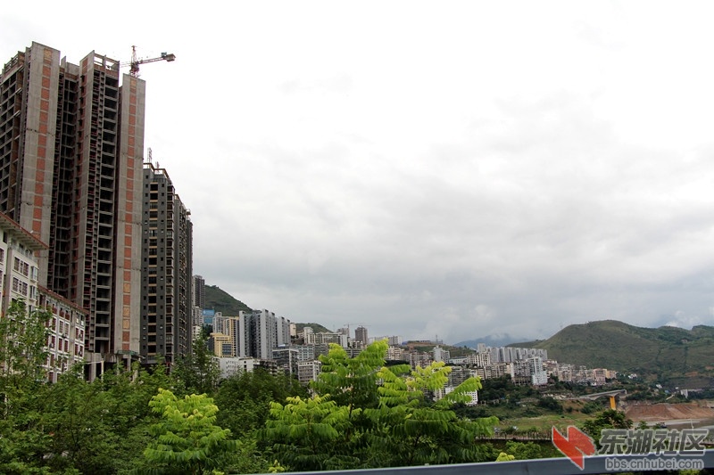 IMG_2842_副本.jpg