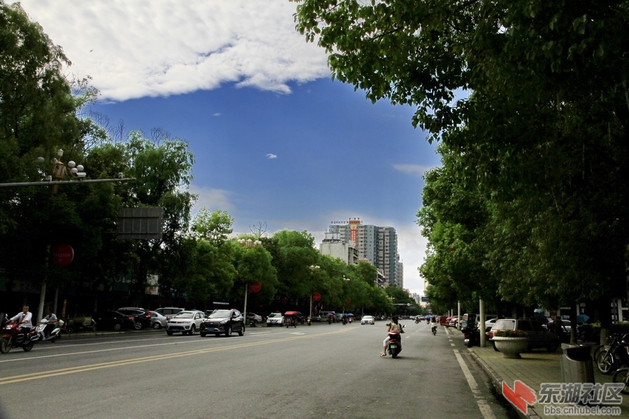 _MG_0354_调整大小.JPG