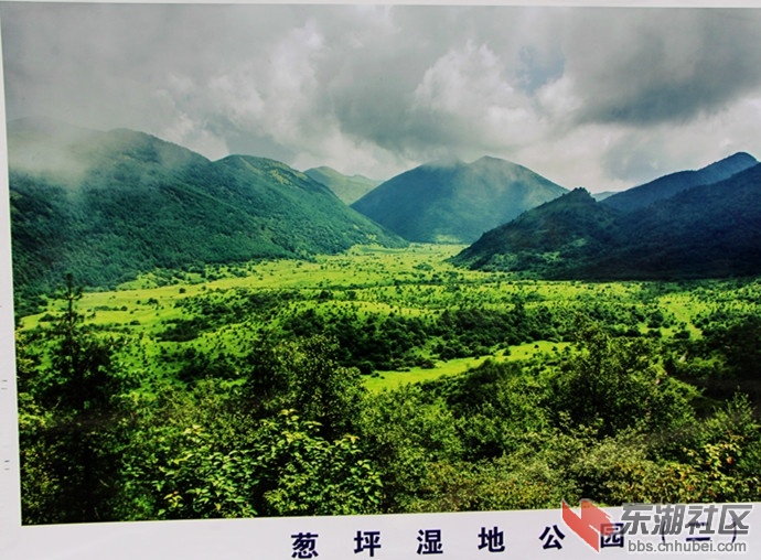 IMG_3321_副本.jpg
