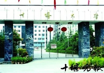 t01d5a05b1ed404898f.jpg
