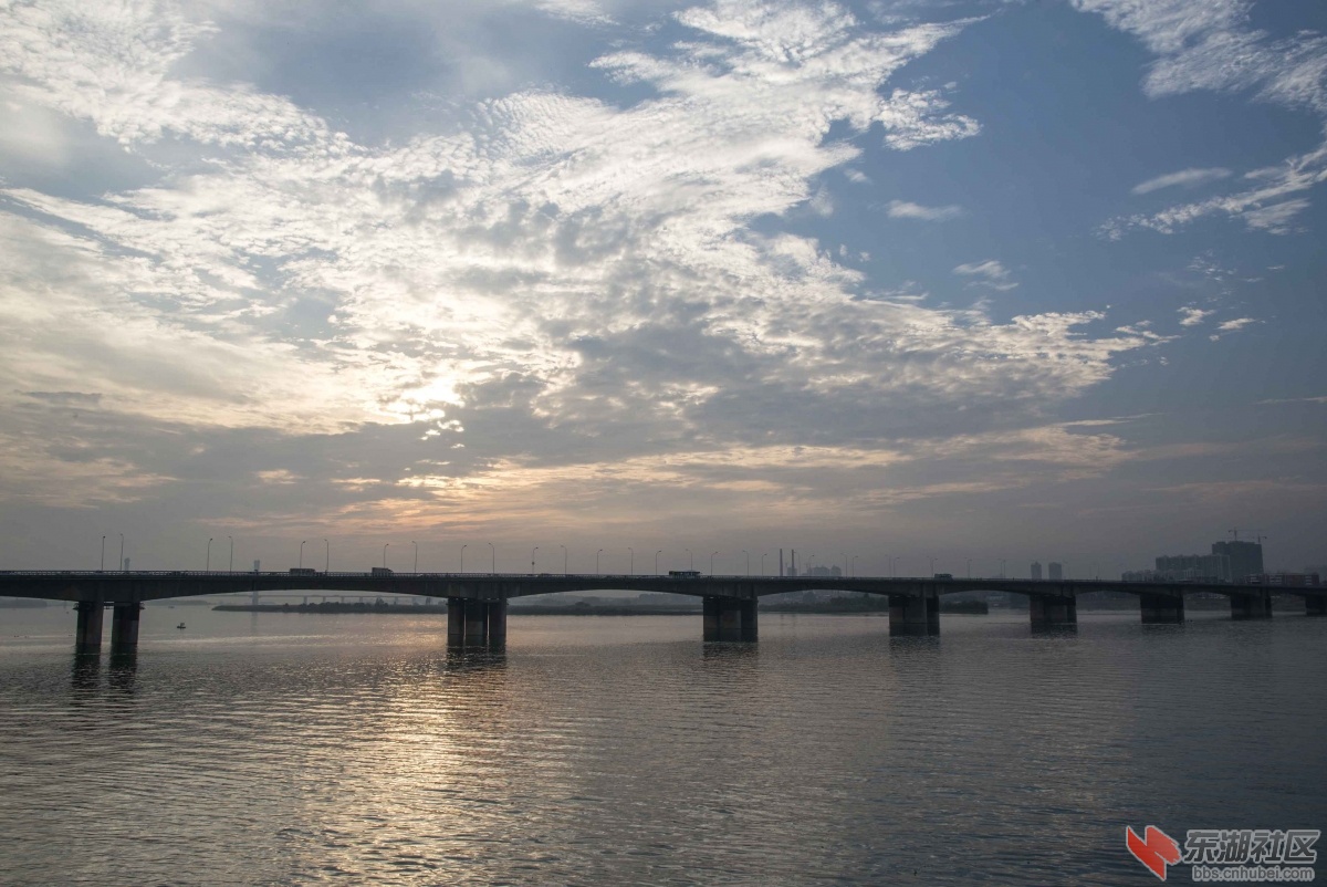 DSC_4205aa.jpg