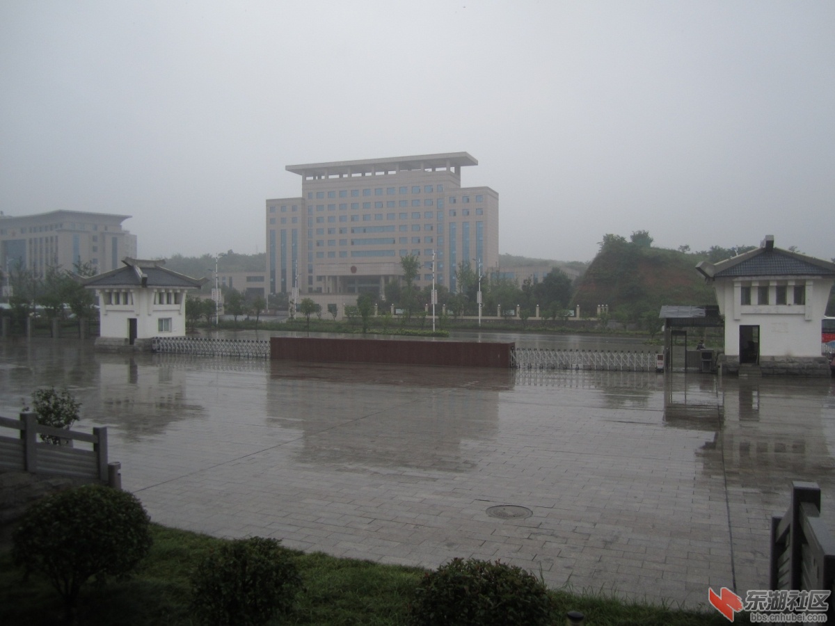 IMG_5731.JPG