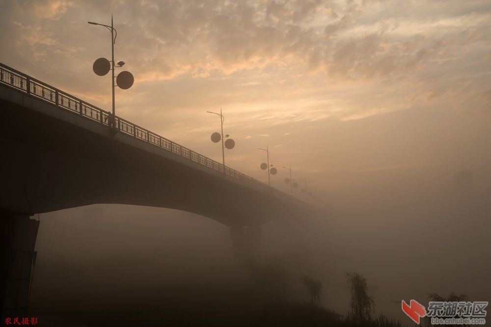 1 009_副本.jpg