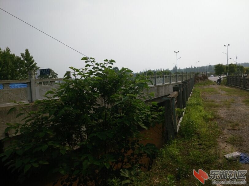 QQ图片20150704192013.jpg