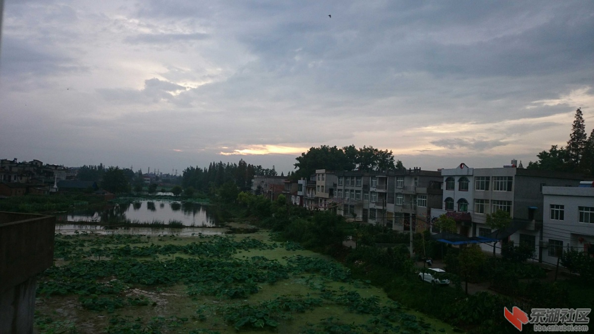 DSC_0144.JPG