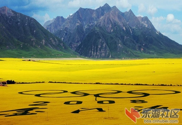 1青海门源.jpg