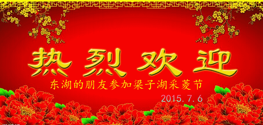 东湖的朋友.gif