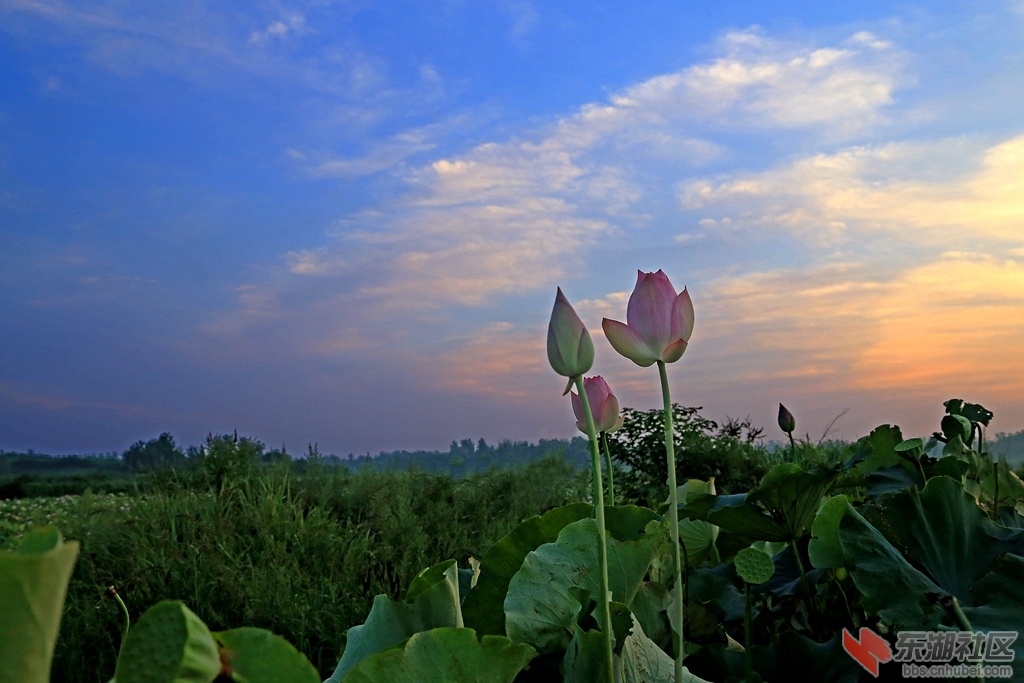 IMG_3474新_副本.jpg