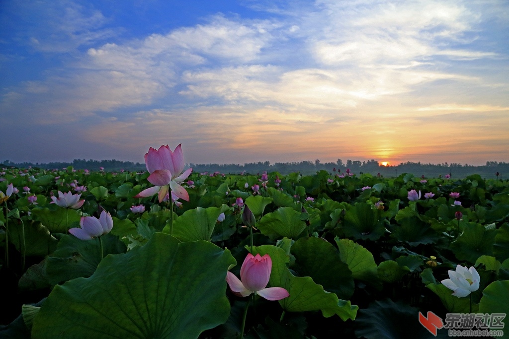 IMG_3481新_副本.jpg