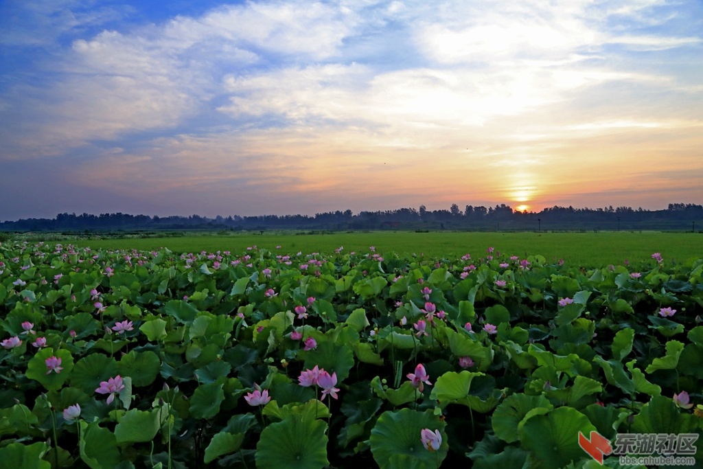 IMG_3483新_副本.jpg