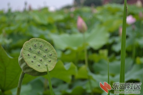 DSC_0033_调整大小.JPG