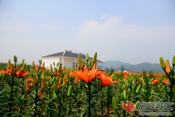 BC715EE236DADF0EA3E6C3DA49797C6E_调整大小.png