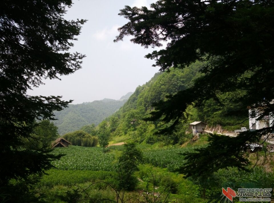 美麗鄉村行第六站[太陽]——探訪紅坪鎮溫水村(劉家屋場)-神農架論壇