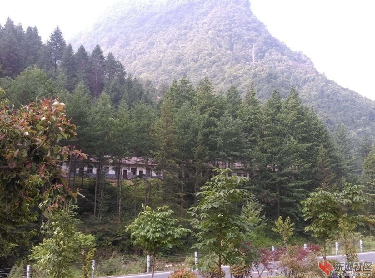 山村屋舍.jpg