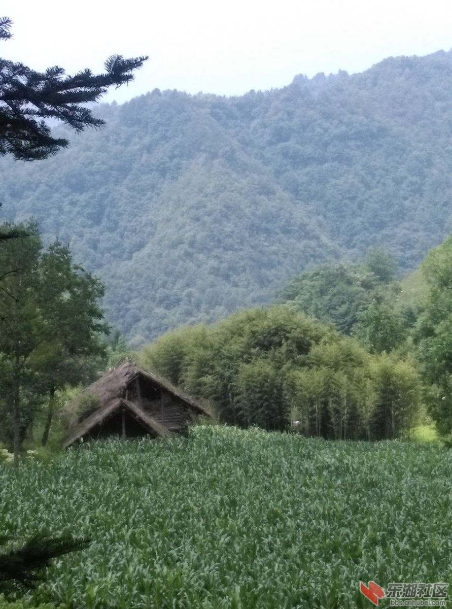 美景2.jpg