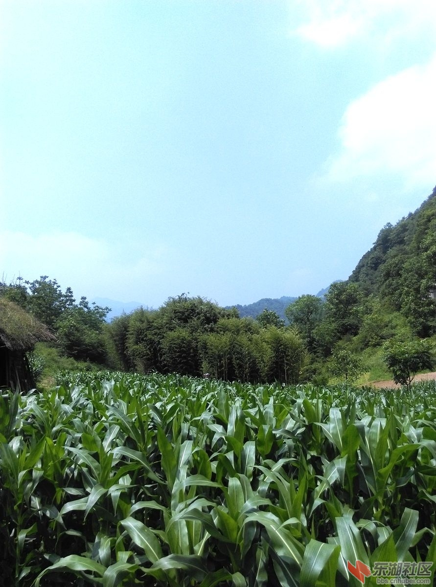 美景3.jpg