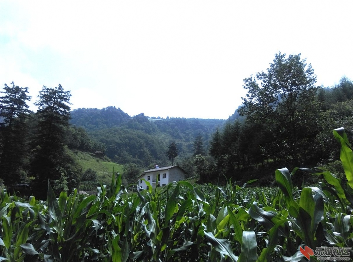 美景4.jpg