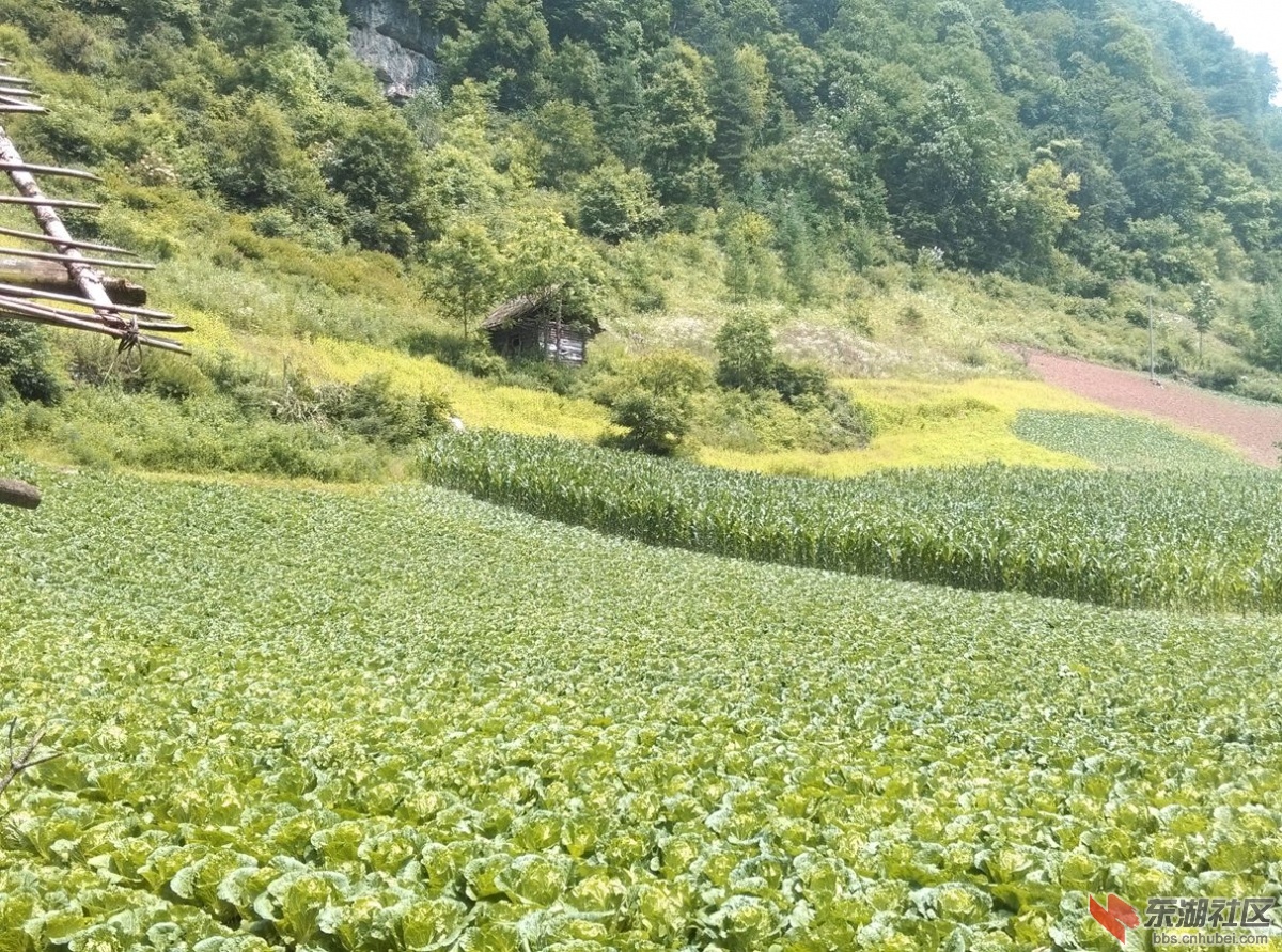 美景5.jpg