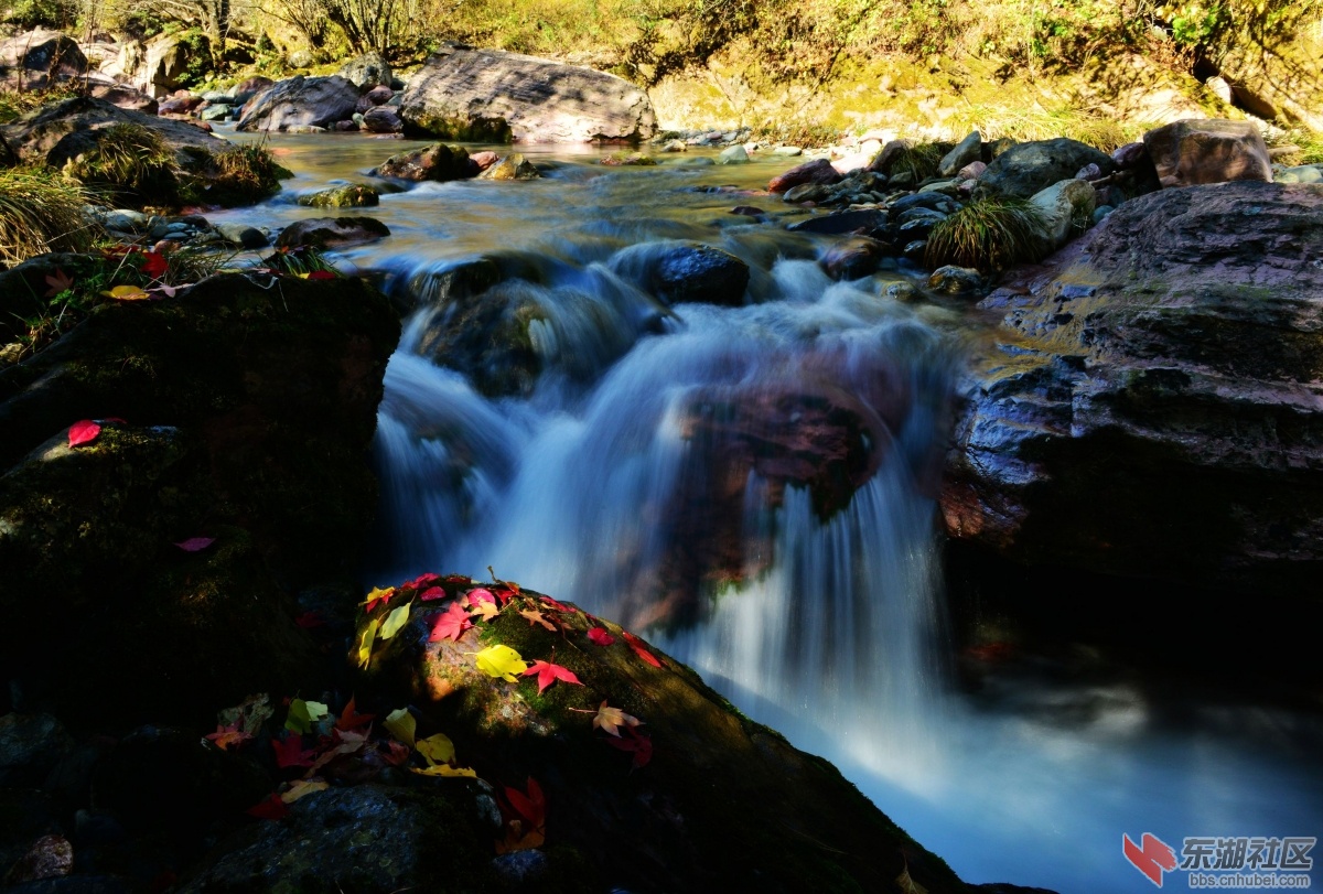DSC_7446_副本.jpg