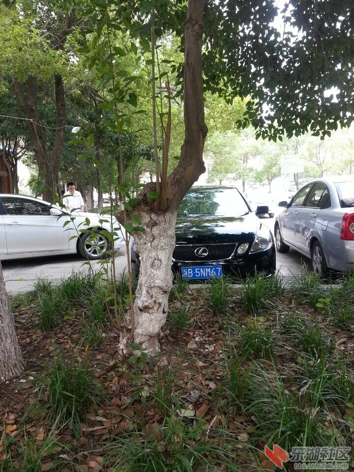 QQ图片20150710153150.jpg