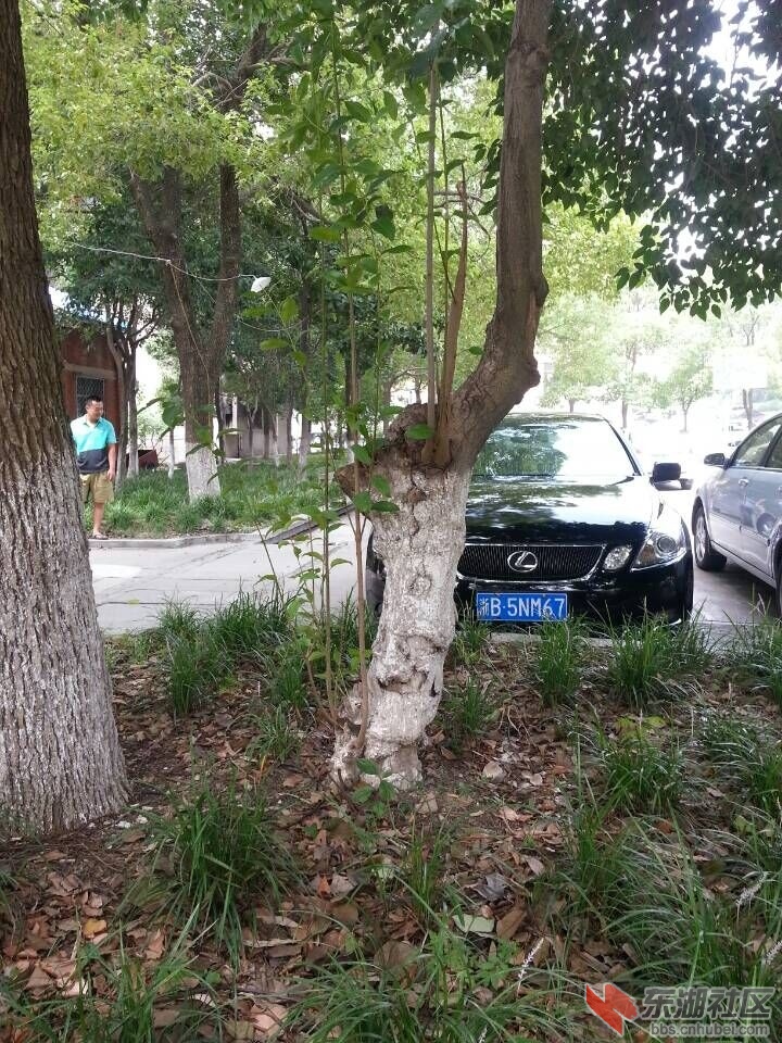 QQ图片20150710153211.jpg