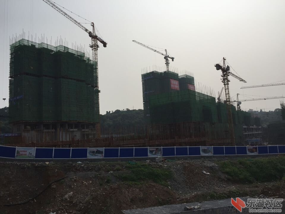 QQ图片20150710205312.jpg