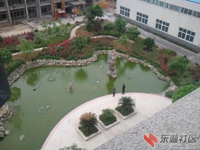 psb国税之一.jpg