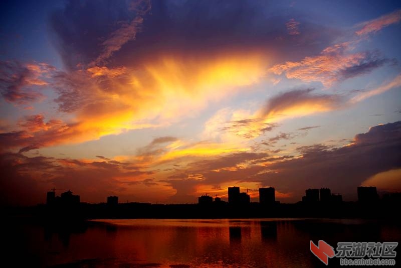 IMGP7935_副本.jpg