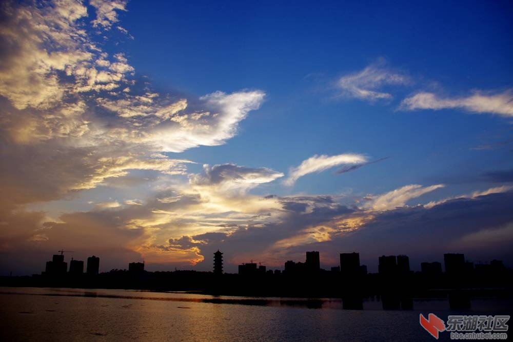 IMGP7917_副本.jpg