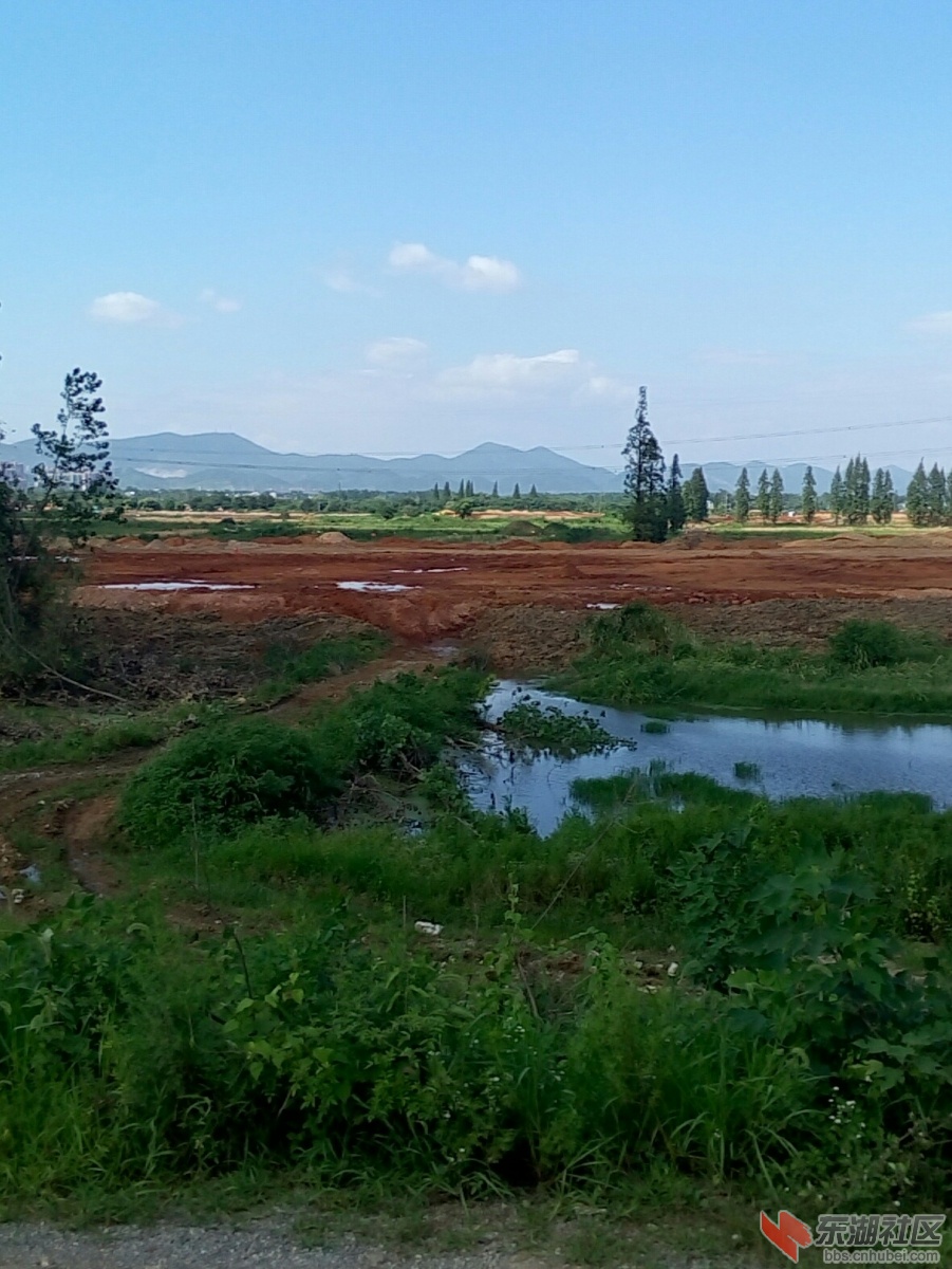 P50711-153401-001.jpg