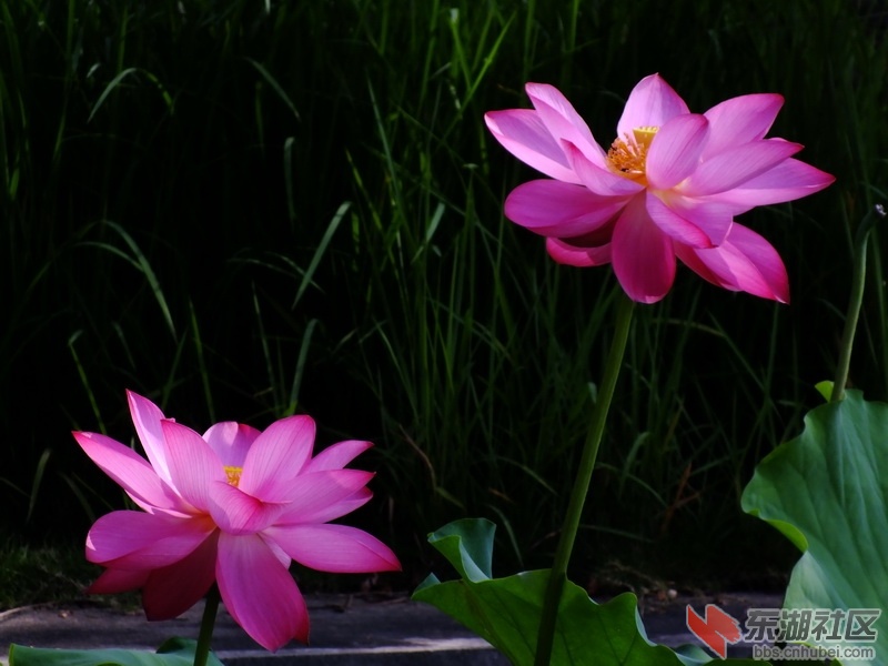 DSCF4538_调整大小.JPG