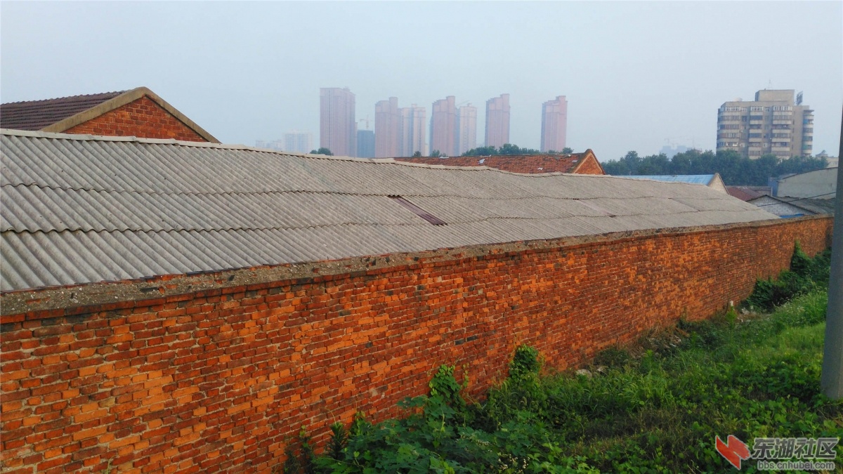IMG_20150713_061837_副本.jpg