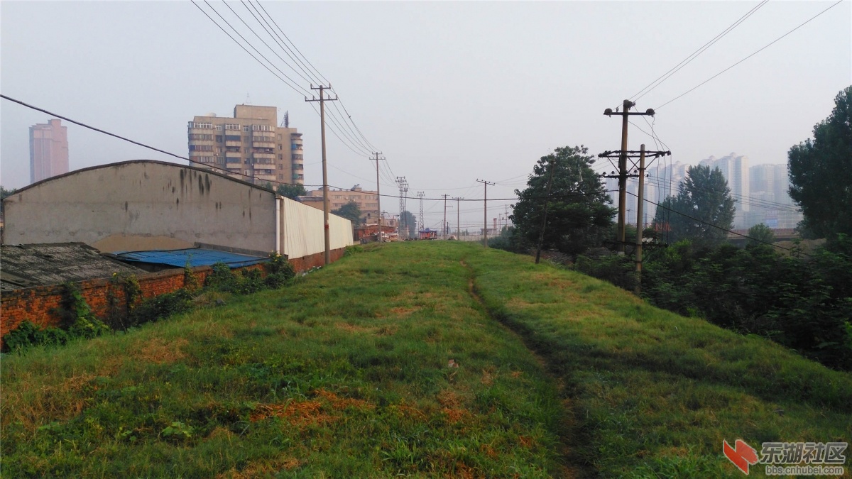 IMG_20150713_062207_副本.jpg