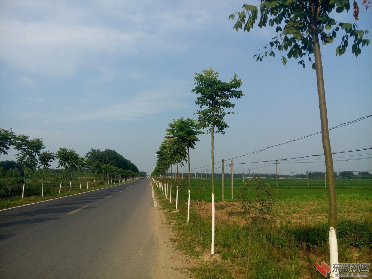 P50712-173132.jpg