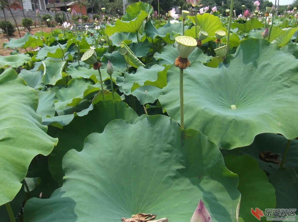DSCF2925.JPG