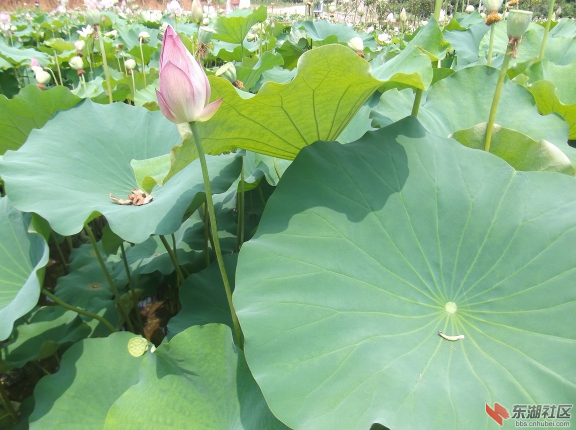 DSCF2926.JPG