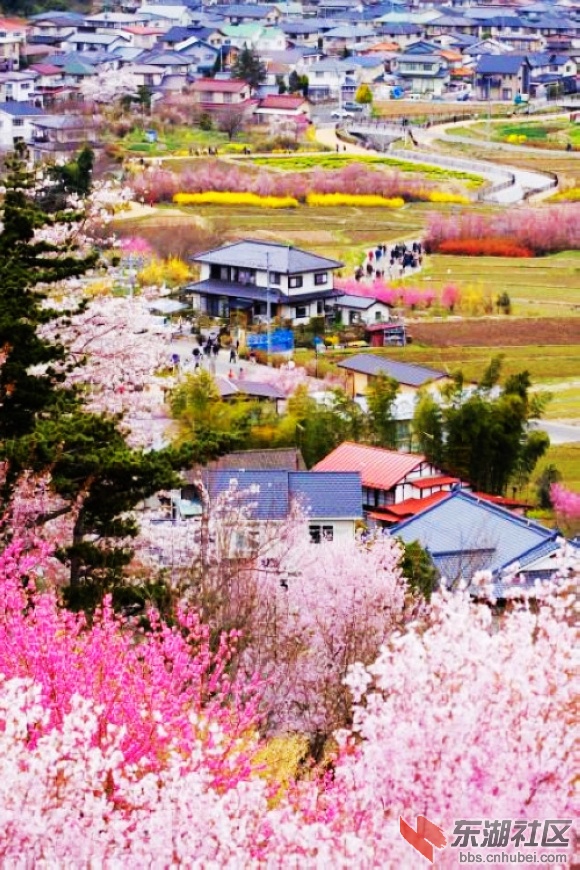 8青岛樱花小镇.jpg