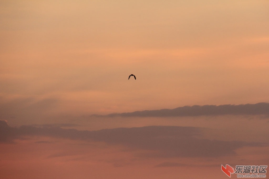 IMG_8361.jpg