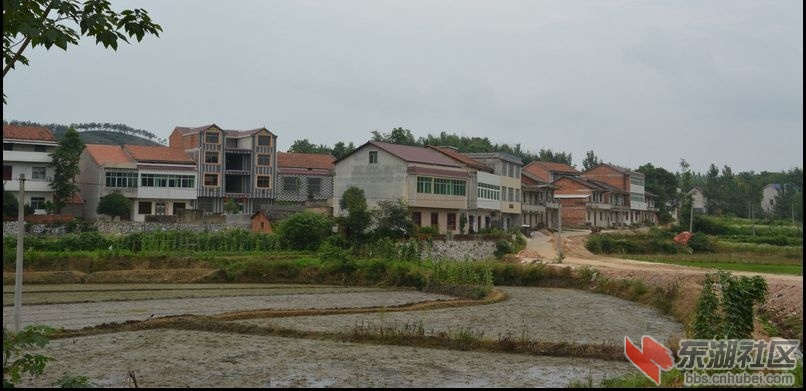记忆梅川，记住乡愁系列报道之六十五南村村
