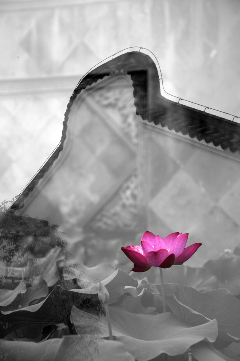 DSC_4880副本.jpg