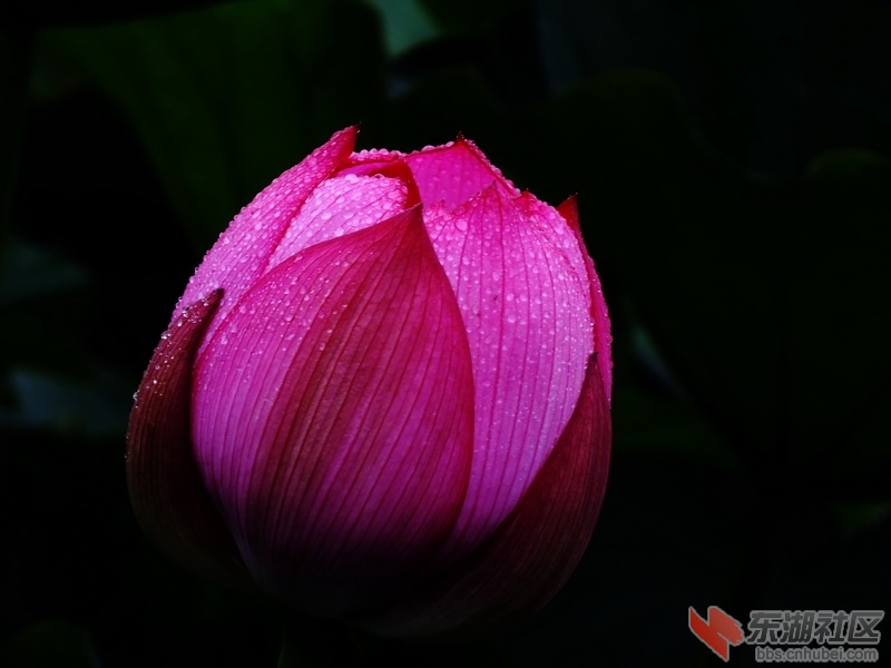 DSCF5938啊_调整大小.jpg