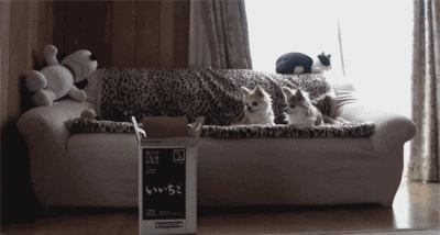 6e7905a7gw1eqiyqj5771g20b405ykfv.gif