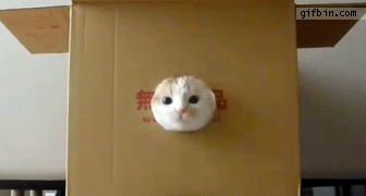 6e7905a7gw1eqiyqe7ygjg209c050n5z.gif