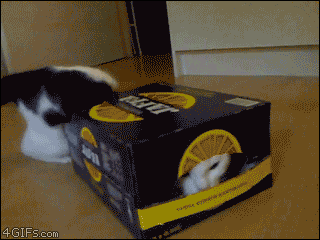 6e7905a7gw1eqiyqoybalg208w06o7w8.gif
