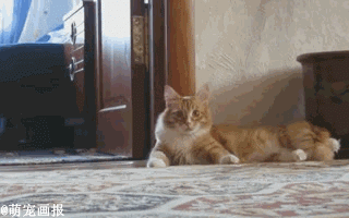 8e7f1a15jw1eu1hwr86wkg208w05kqnd.gif