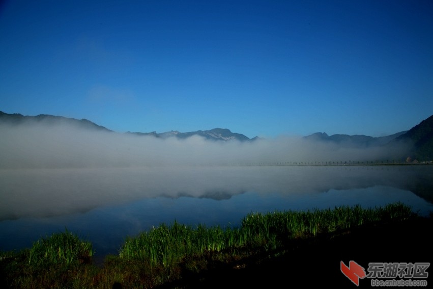 IMG_4600_conew1.jpg