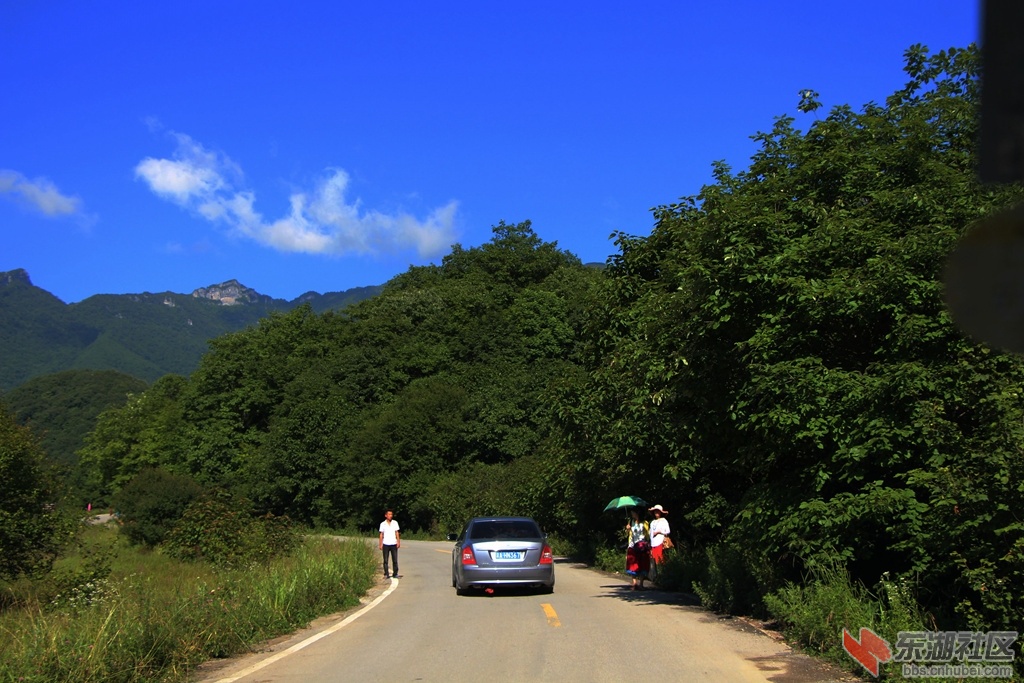 IMG_9877.jpg