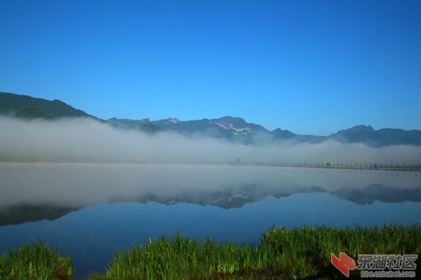 IMG_4604_conew1.jpg